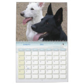 Mural Calendrier DogWood 2007 (Jan 2026)