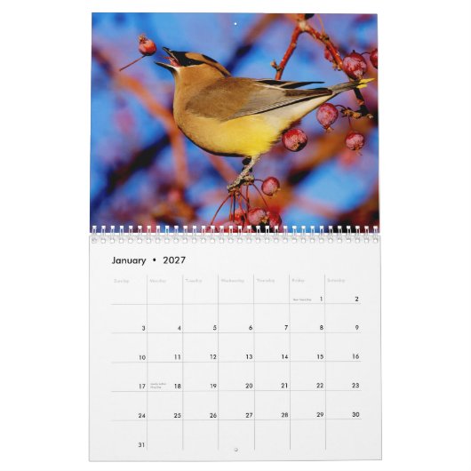 Mural Calendrier d'oiseaux et de fleurs 2015 (Jan 2027)