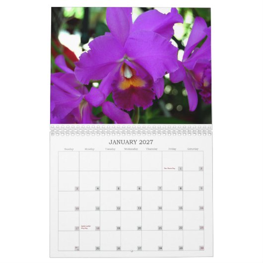 Mural Calendrier d'orchidées (Jan 2027)