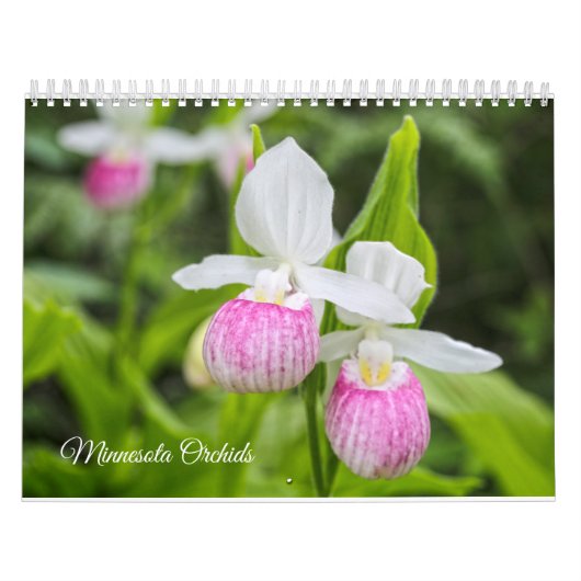 Mural Calendrier d'orchidées du Minnesota (Protection)
