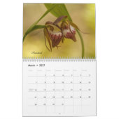 Mural Calendrier d'orchidées du Minnesota (Mar 2027)