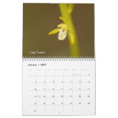 Mural Calendrier d'orchidées du Minnesota (Jan 2027)