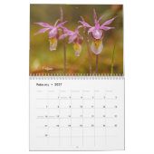 Mural Calendrier d'orchidées du Minnesota (Feb 2027)