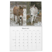 Mural Calendrier d'OSA (Mar 2027)