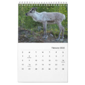 Mural Calendrier drôle et mignon de coutume d'animaux (Feb 2026)