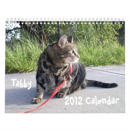 Mural Calendrier du chat tigré 2012 (Protection)