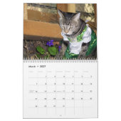 Mural Calendrier du chat tigré 2012 (Mar 2027)