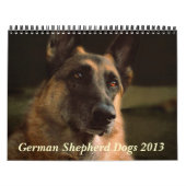 Mural Calendrier du chien de berger allemand 2013 (Protection)