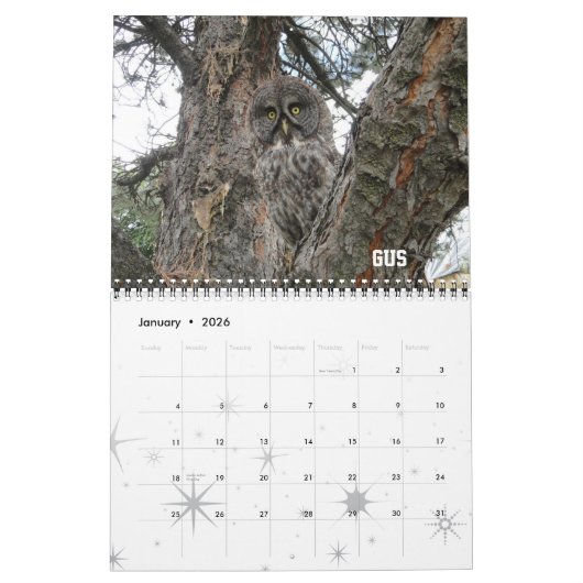 Mural Calendrier du club 2012 de WSU Raptor (Jan 2026)