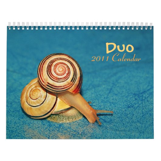 Mural Calendrier du duo 2011 (Protection)