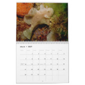 Mural Calendrier du Frogfish 2012 (Mar 2027)