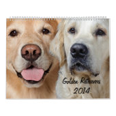 Mural Calendrier du golden retriever 2014 (Protection)