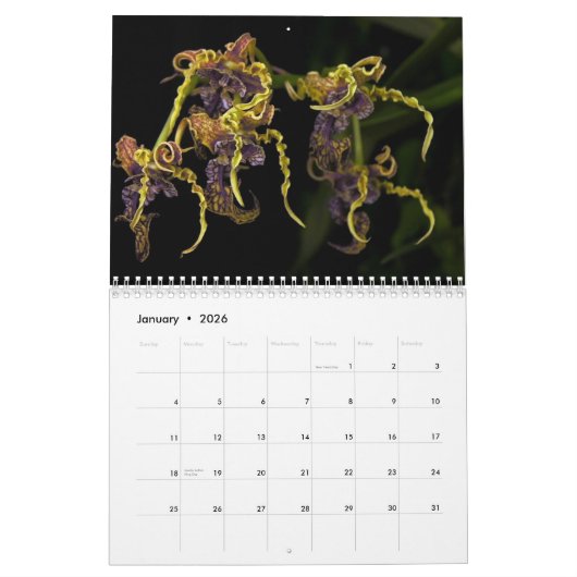 Mural Calendrier du jardin 2013 de Dave (Jan 2026)