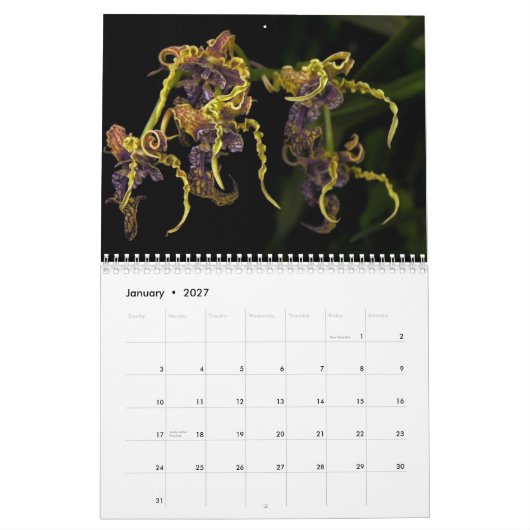 Mural Calendrier du jardin 2013 de Dave (Jan 2027)