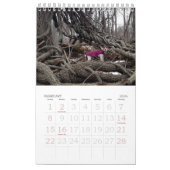 Mural Calendrier du Loki 2017 (Feb 2026)