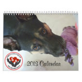 Mural Calendrier du match 2013 de Pawfect (Protection)