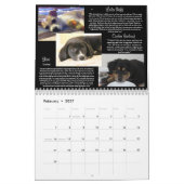 Mural Calendrier du match 2013 de Pawfect (Feb 2027)