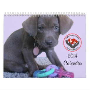 Mural Calendrier du match 2014 de Pawfect