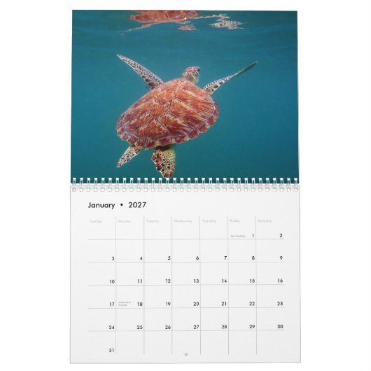 Mural Calendrier du Mexique de Maya de la Riviera (Jan 2027)