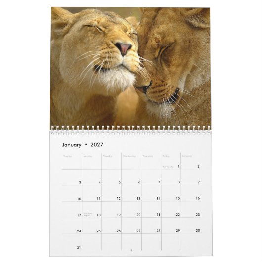 Mural Calendrier du mur des lions (Jan 2027)