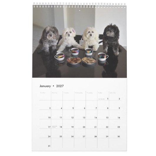 Mural Calendrier du paquet 2017 de PBJ (Jan 2027)