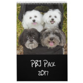 Mural Calendrier du paquet 2017 de PBJ (Protection)