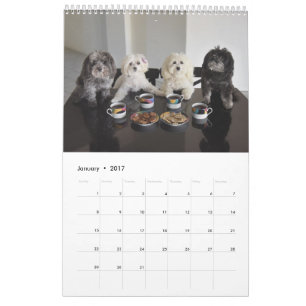 Mural Calendrier du paquet 2017 de PBJ