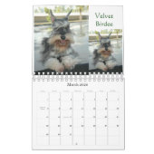 Mural Calendrier du Schnauzer 2016 miniature (Mar 2026)