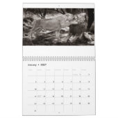 Mural Calendrier du Whisperer 2017 de lion (Jan 2027)