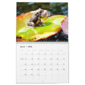 Mural Calendrier d'une année de grenouilles (Mar 2026)