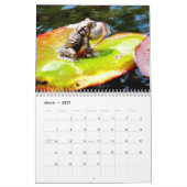 Mural Calendrier d'une année de grenouilles (Mar 2027)