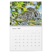 Mural Calendrier d'une année de grenouilles (Jan 2027)