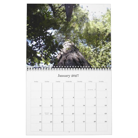 Mural Calendrier en bois de Muir (Jan 2027)