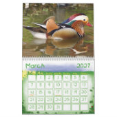 Mural Calendrier Enfants - 2023 - Oiseaux (Mar 2027)