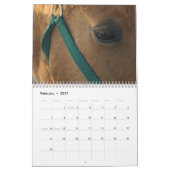 Mural Calendrier équin (Feb 2027)