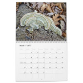 Mural Calendrier - Fabuleux Champignons De La Forêt (Mar 2027)