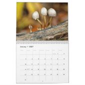 Mural Calendrier - Fabuleux Champignons De La Forêt (Jan 2027)