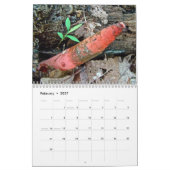 Mural Calendrier - Fabuleux Champignons De La Forêt (Feb 2027)