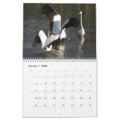 Mural Calendrier Feathered Friends 2013 - Encore Edition (Jan 2026)