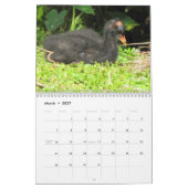 Mural Calendrier Feathered Friends 2013 - Encore Edition (Mar 2027)