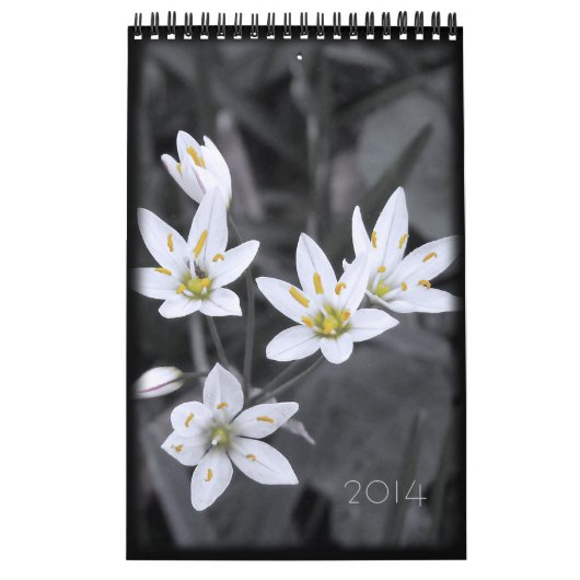 Mural Calendrier floral 2014 12 mois d'une page (Protection)