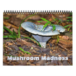 Mural Calendrier ~ Folie des champignons