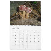 Mural Calendrier ~ Folie des champignons (Mar 2026)