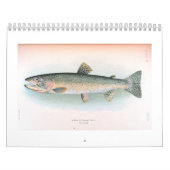 Mural Calendrier frais et de mer de poissons (Protection)