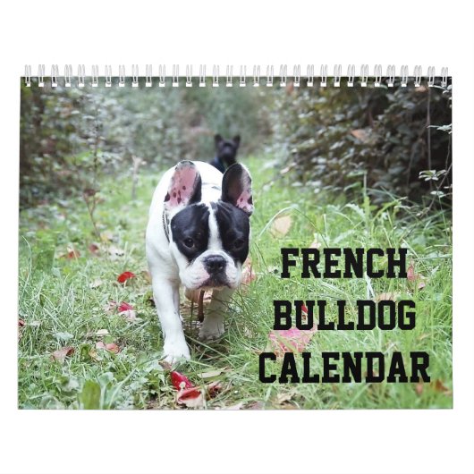 Mural Calendrier Français Bulldog Avec Vos Photos (Protection)