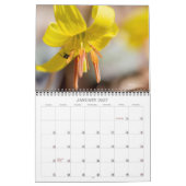Mural Calendrier ~ Galore Fleur sauvage (Jan 2027)