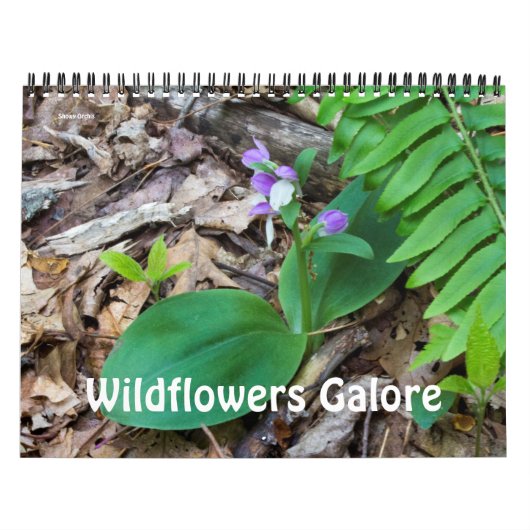 Mural Calendrier ~ Galore Fleur sauvage (Protection)
