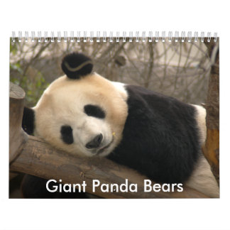 Mural Calendrier géant d'ours panda, ours panda géants