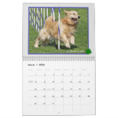 Mural Calendrier Golden Retriever 2015 (Mar 2026)