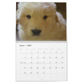 Mural Calendrier Golden Retriever 2026 (Mar 2027)